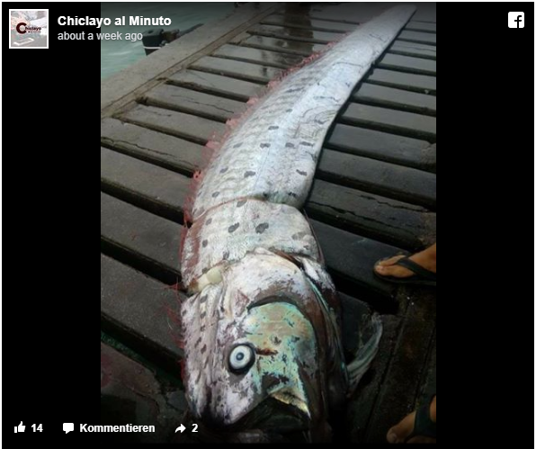 Fear As Rare Deep Sea Fish Known As Omen Of Earthquakes Appears In