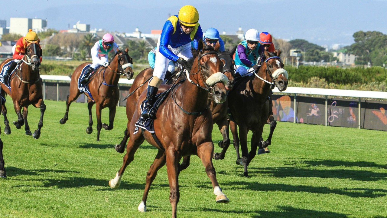 Four Of The Biggest Horse Races In South Africa Face Of Malawi